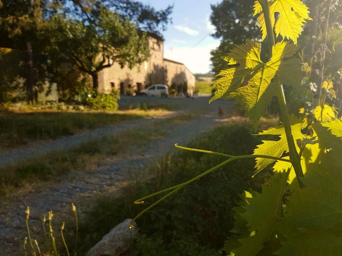 Agriturismo Podere Molino Peccioli Exterior photo